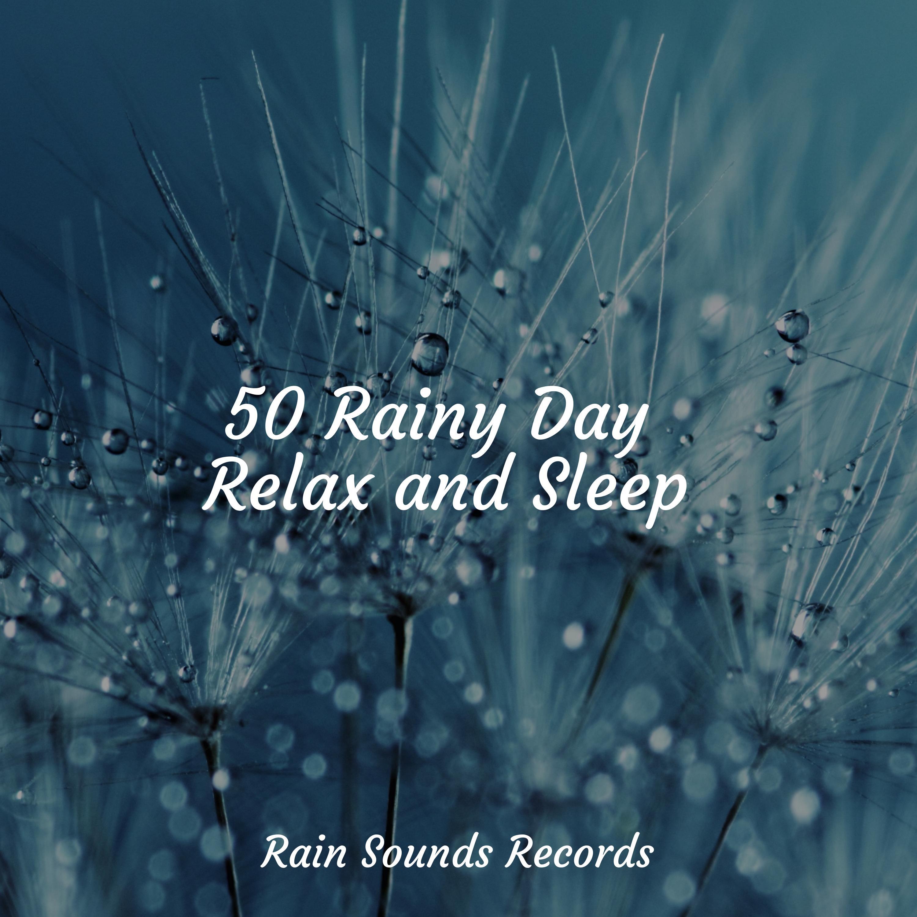 Misty Dances in Rain - Ambiente/Bird Sounds/Relaxing Mindfulness ...