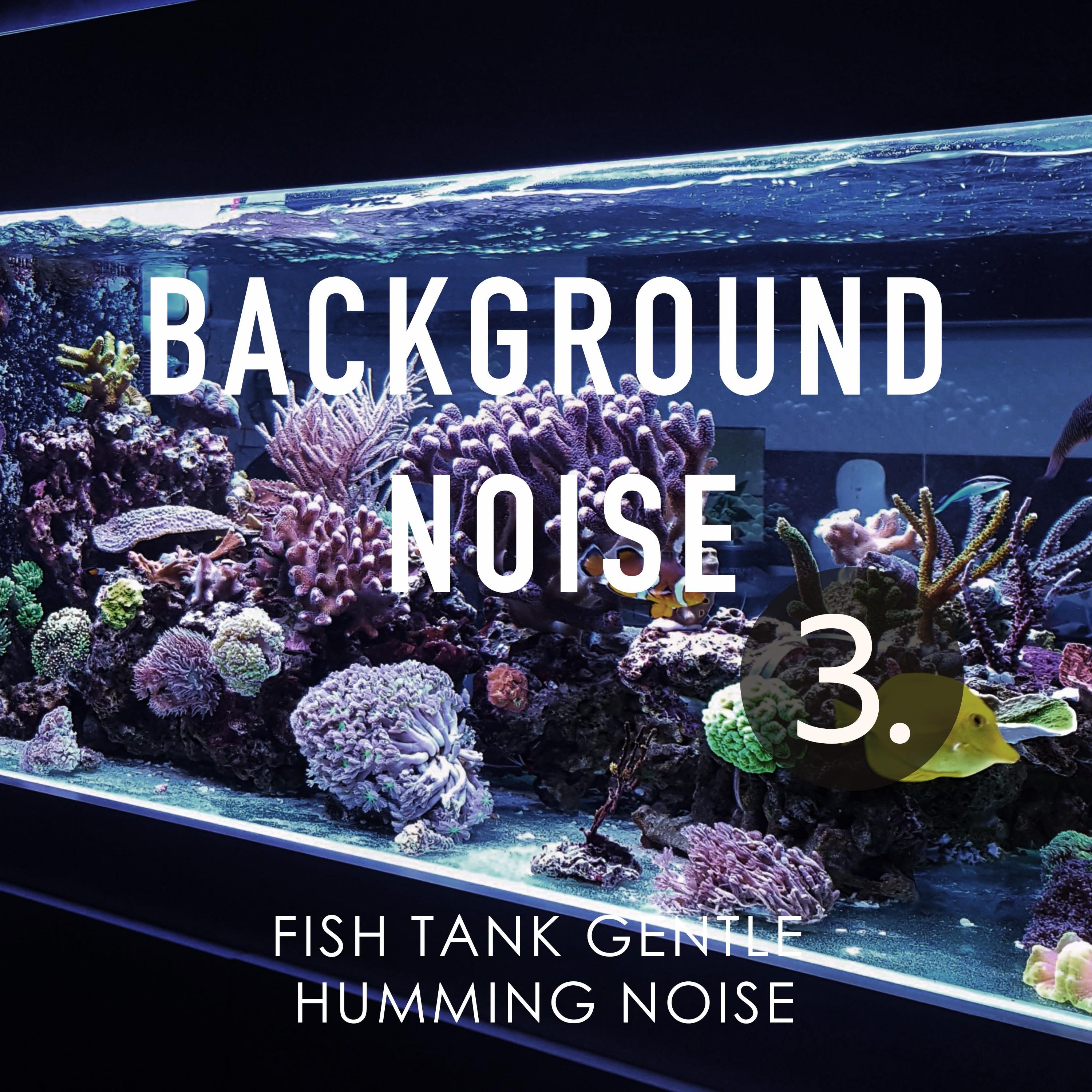 Trascable Humming Fish Fish Tank Gentle Humming Noise, Pt. 13 - Thomas O'Reilly - 单曲 - 网易云音乐