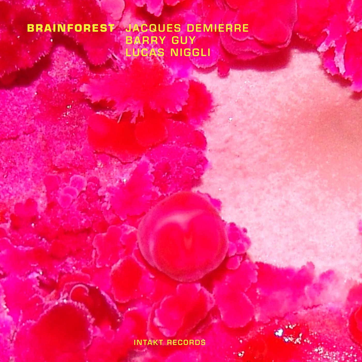 DEMIERRE, Jacques / GUY, Barry / NIGGLI, Lucas: Brainforest
