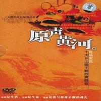 吴海燕 - 小亲圪蛋(原版立体声伴奏)