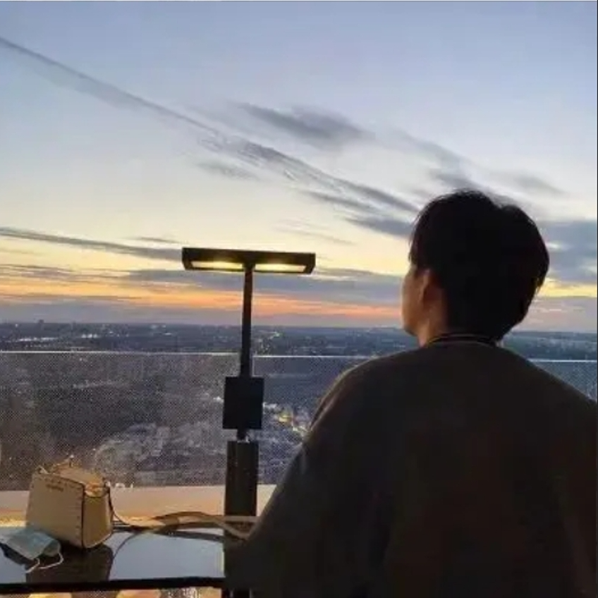 大风吹倒梧桐树