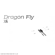 Dragon Fly