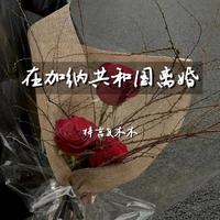 Chanté Moore - If I Ain't Got You 纯净版 歌手2024