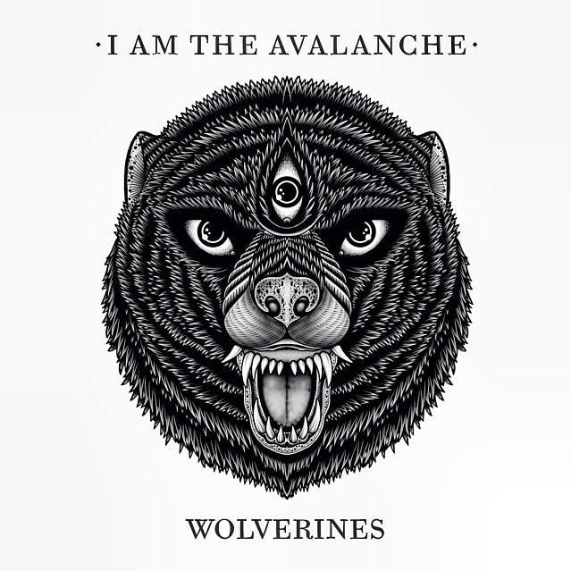 Wolverines