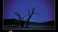 Samsara (Original Motion Picture Soundtrack)专辑