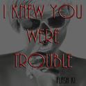 I Knew You Were Trouble专辑