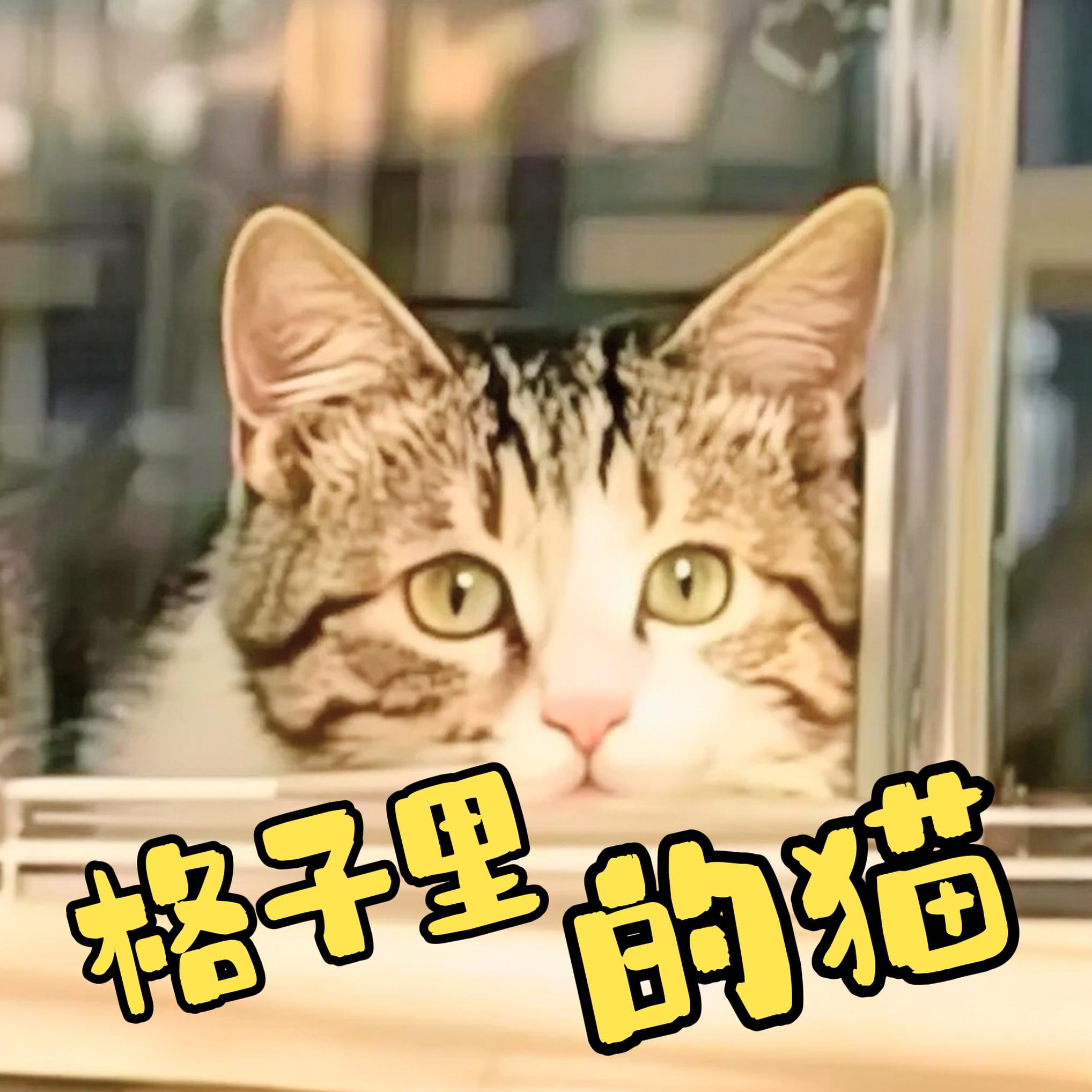 格子里的猫