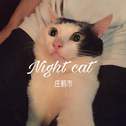 Night cat专辑