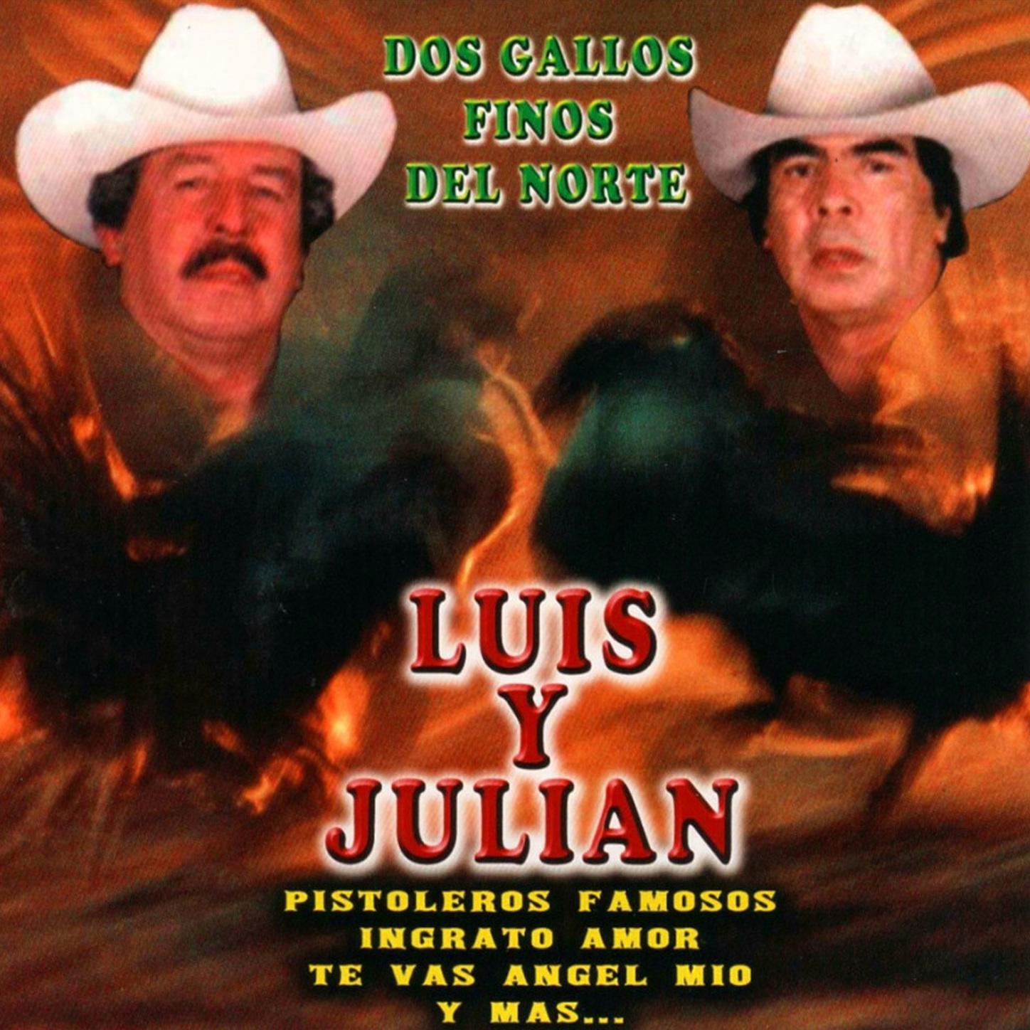 Dos Gallos Finos Del Norte