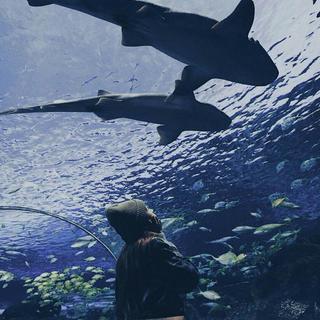 「韩」在夜里静默生长的温柔