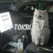 人间失落