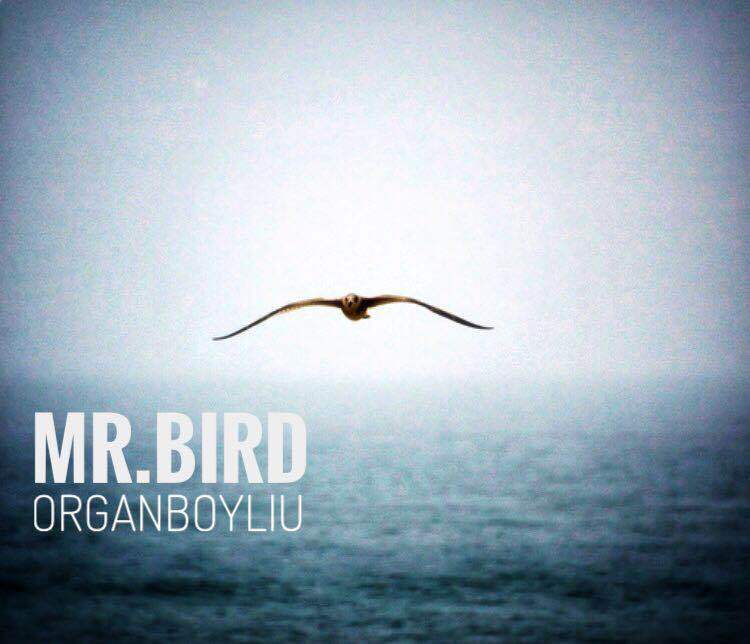 Mr.BIRD专辑