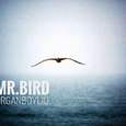 Mr.BIRD