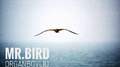 Mr.BIRD专辑