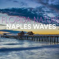 Florida Nature资料,Florida Nature最新歌曲,Florida NatureMV视频,Florida Nature音乐专辑,Florida Nature好听的歌