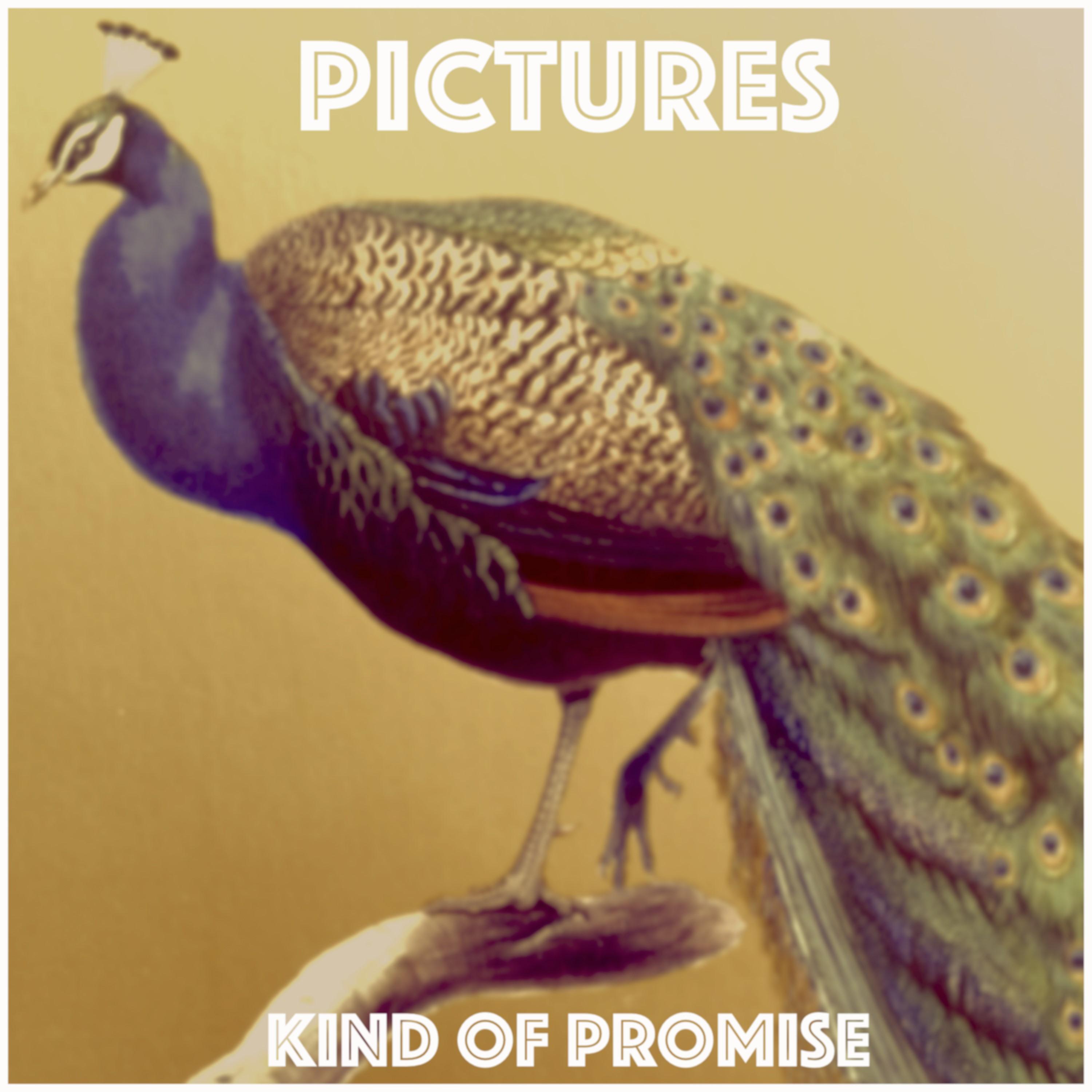 Kind of Promise