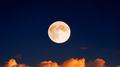 moon专辑