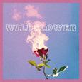 Wildflower