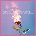 Wildflower