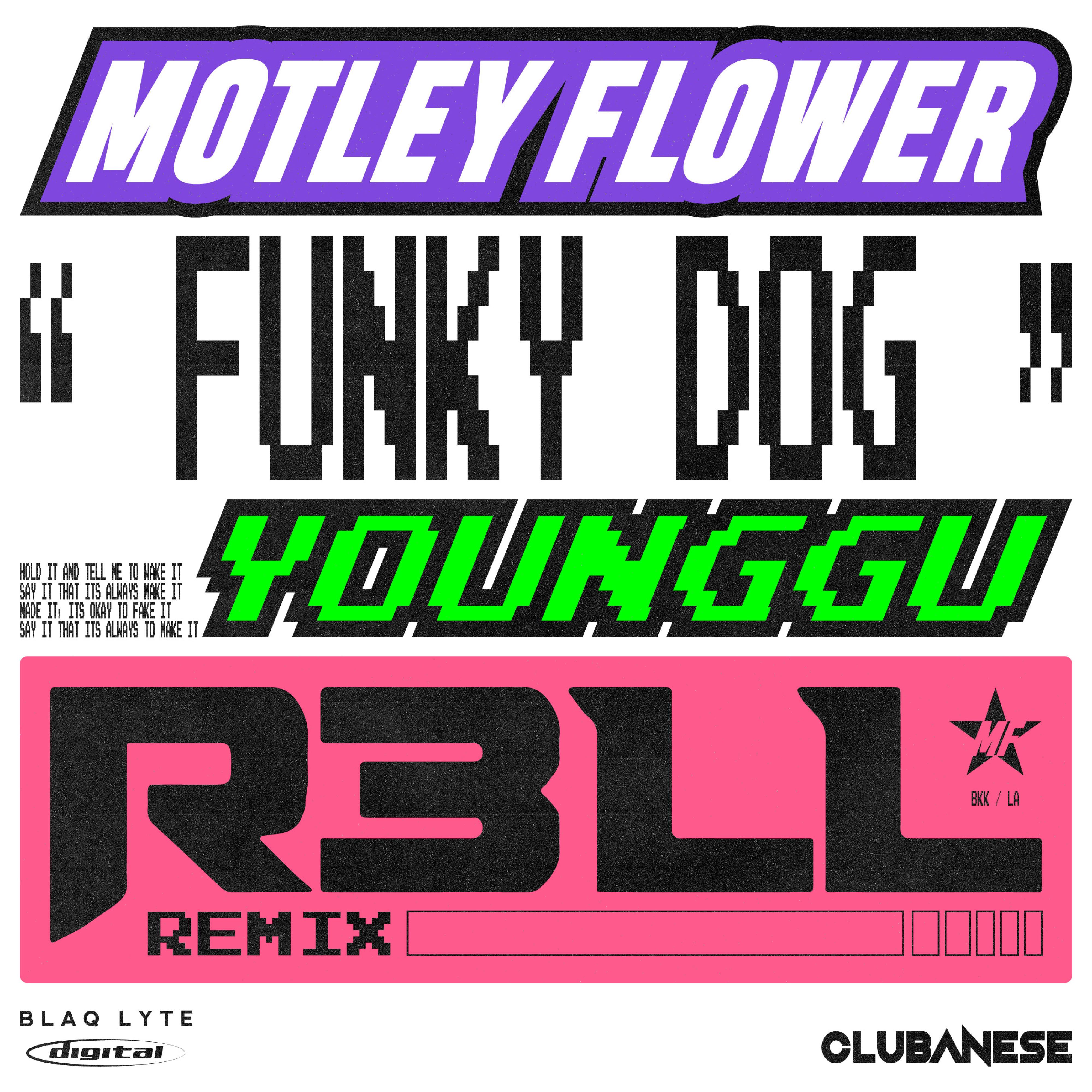 FUNKY DOG (R3LL Remix)
