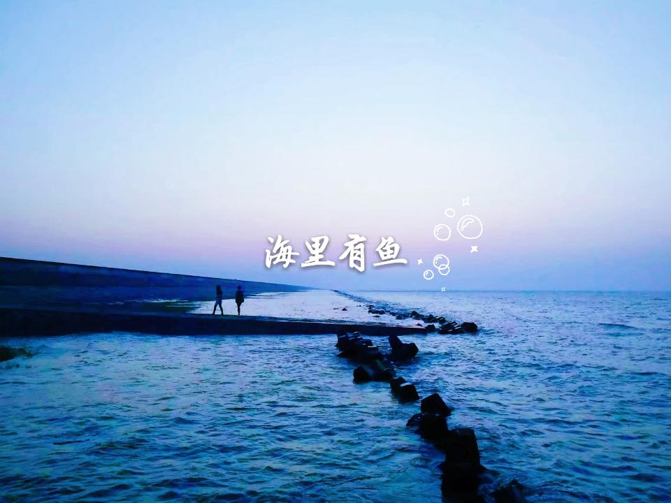 海里有鱼专辑