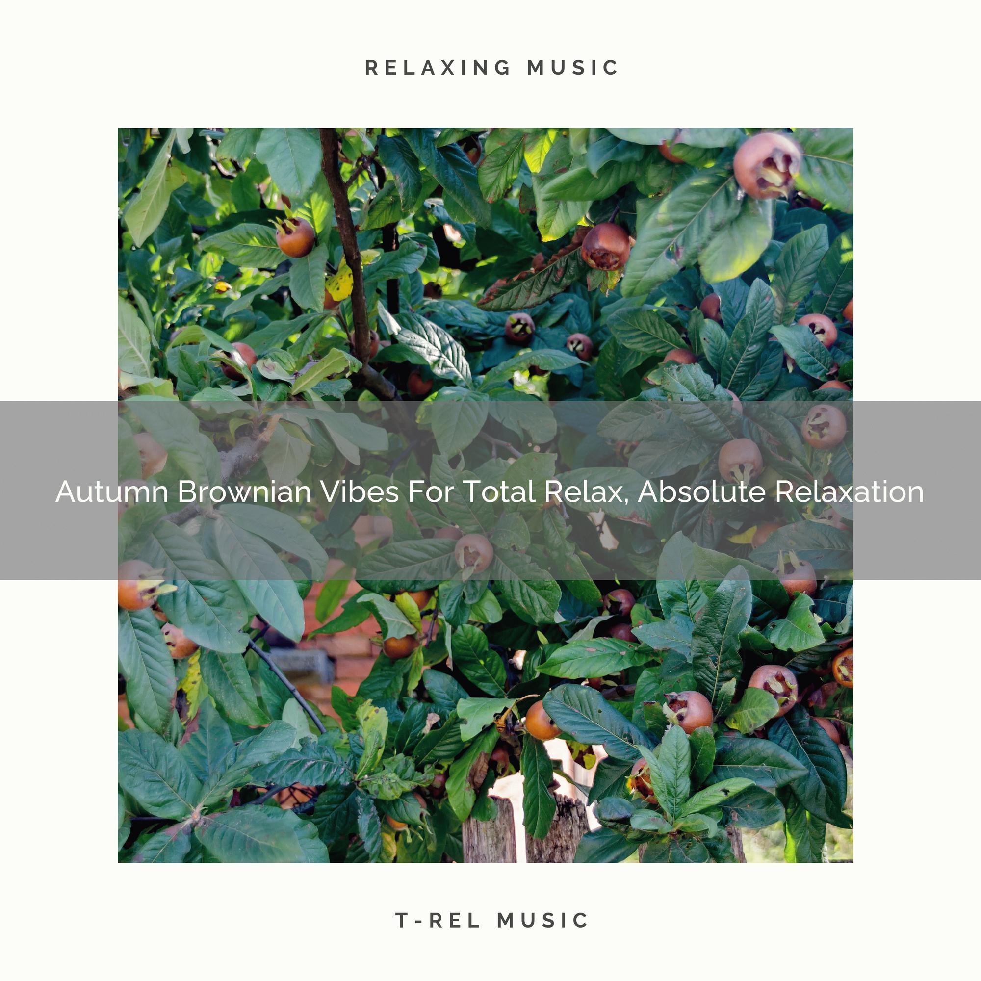 Autumn Brownian Vibes For Total Relax, Absolute Relaxation