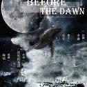 Before The Dawn专辑