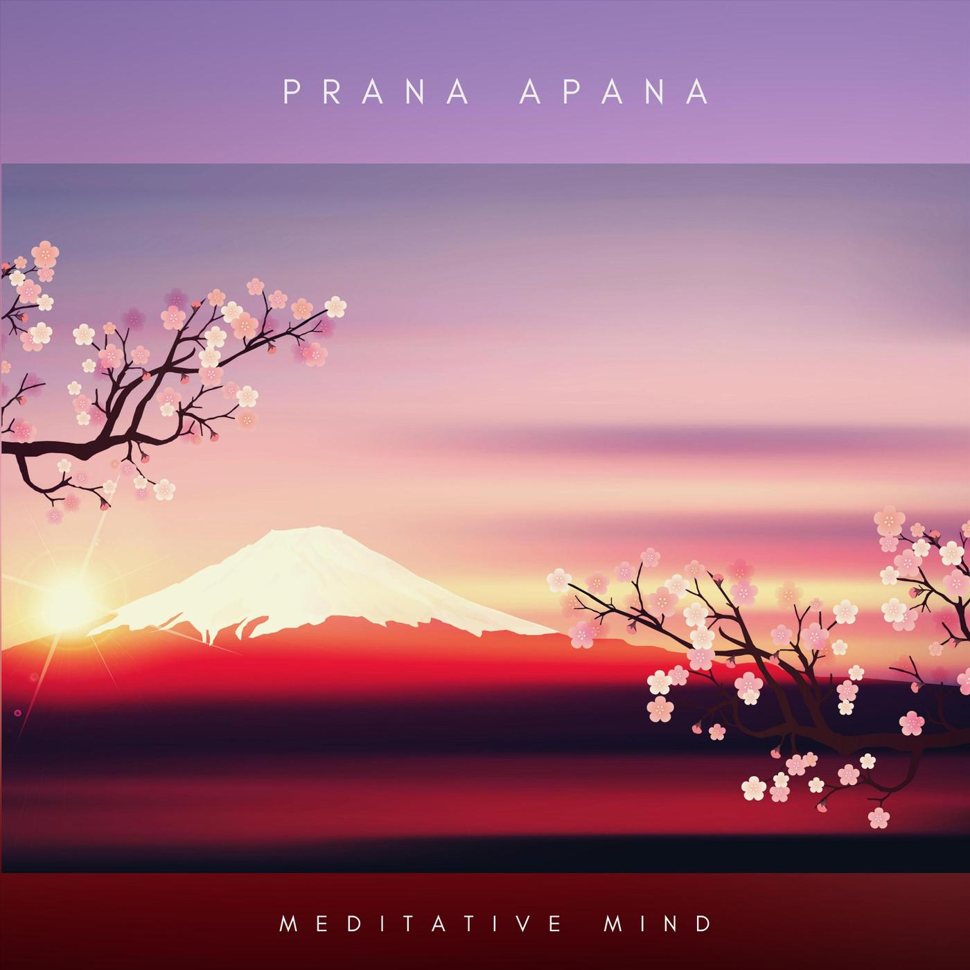 Prana Apana专辑