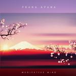 Prana Apana专辑