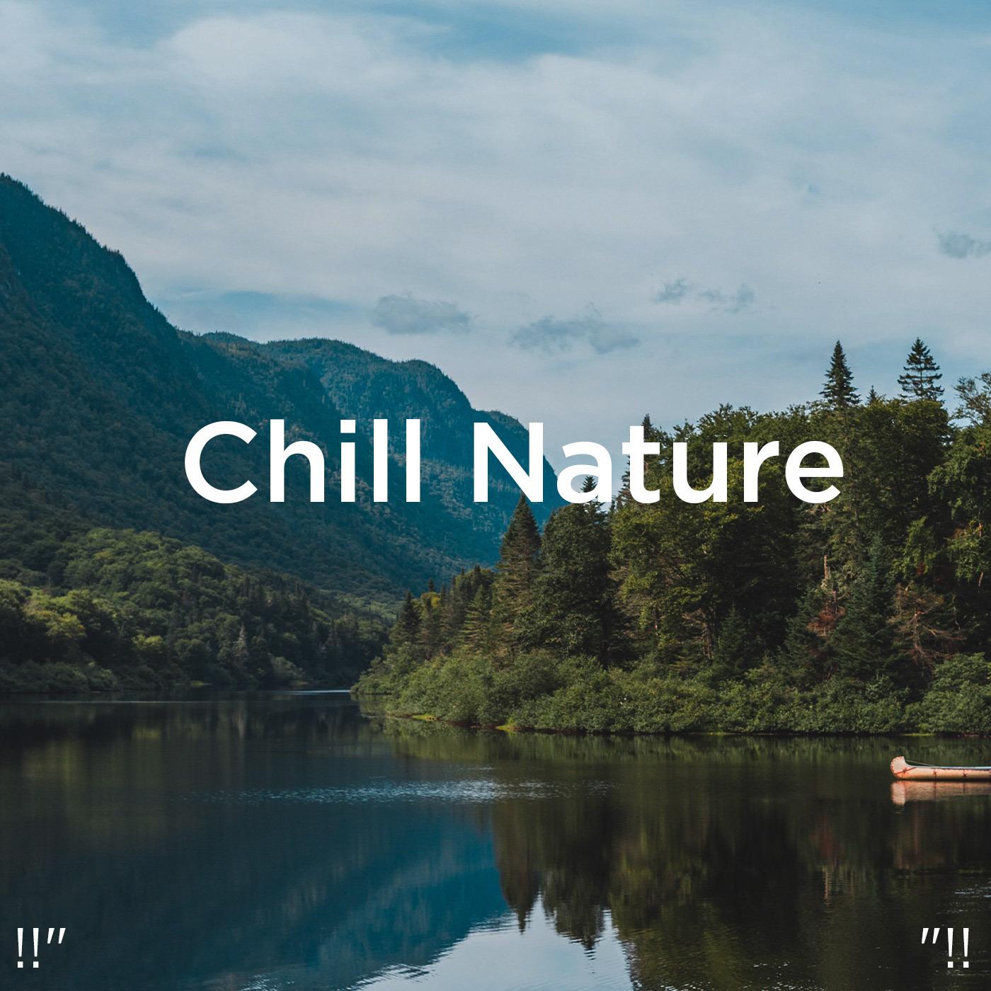 !!" Chill Nature "!!
