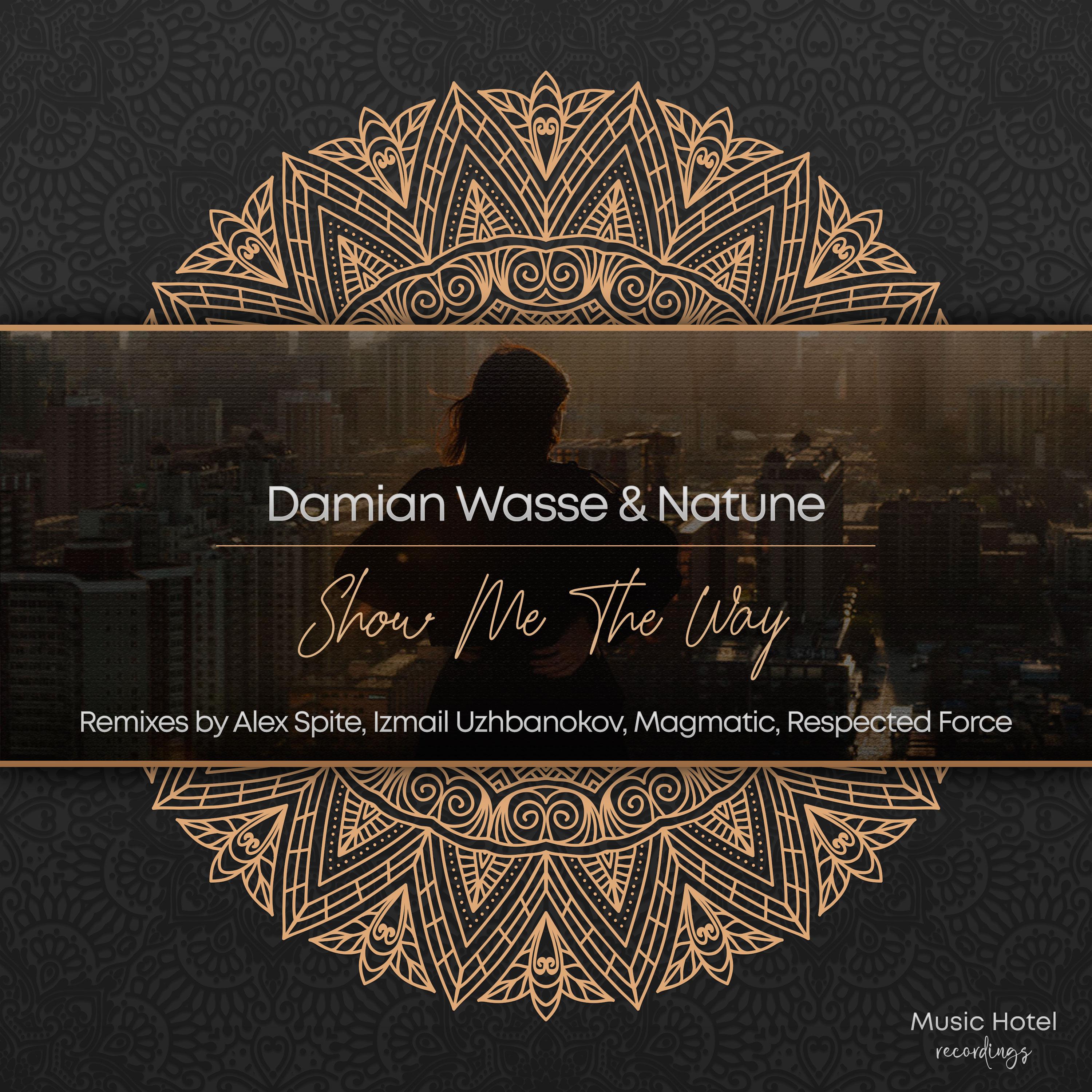 Damian Wasse - Show Me The Way (Magmatic Remix)