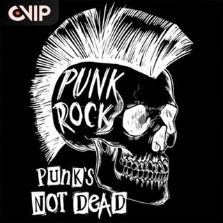 你真punk | 直白的颅内造反运动