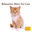 Relaxation Music For Cats专辑