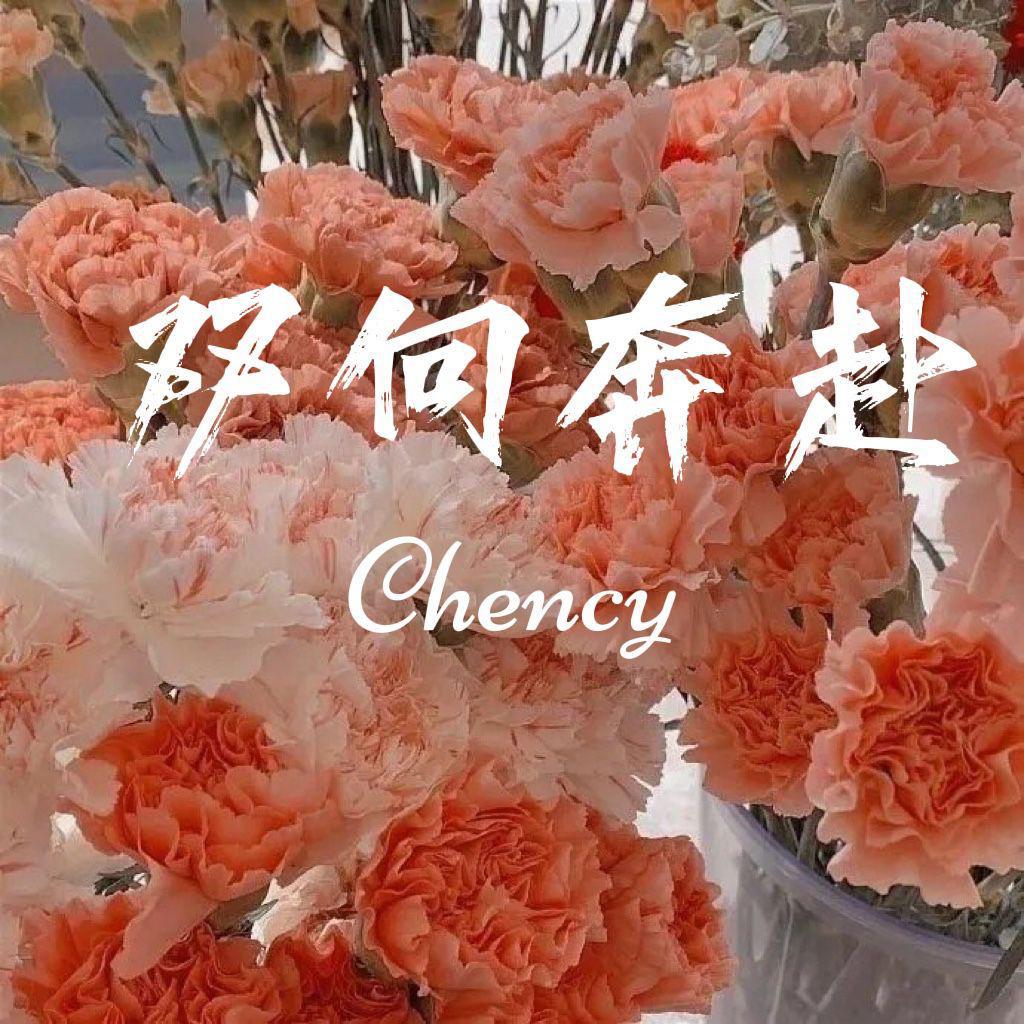 双 向 奔 赴
