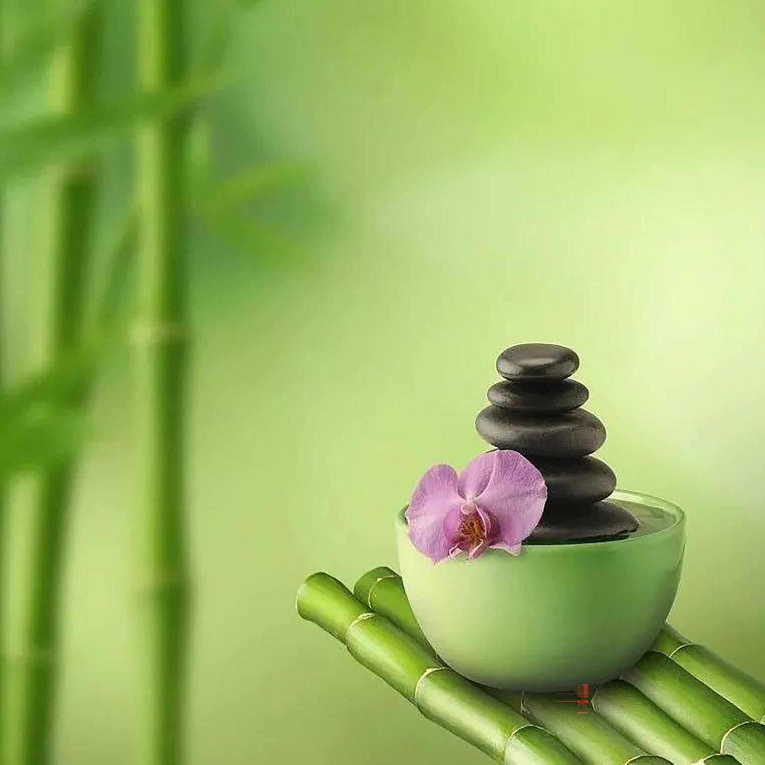 寒鸦戏水 养生音乐健脾养胃