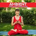 Ambient Meditation Dreams 2019: New Age Deep 15 Songs for Pure Yoga & Perfect Relaxation Experience,