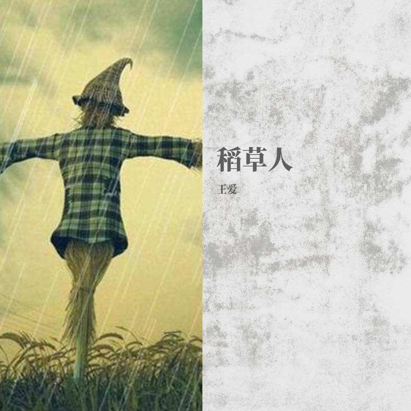 我是一个稻草人