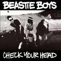 Check Your Head (Remastered Edition)专辑