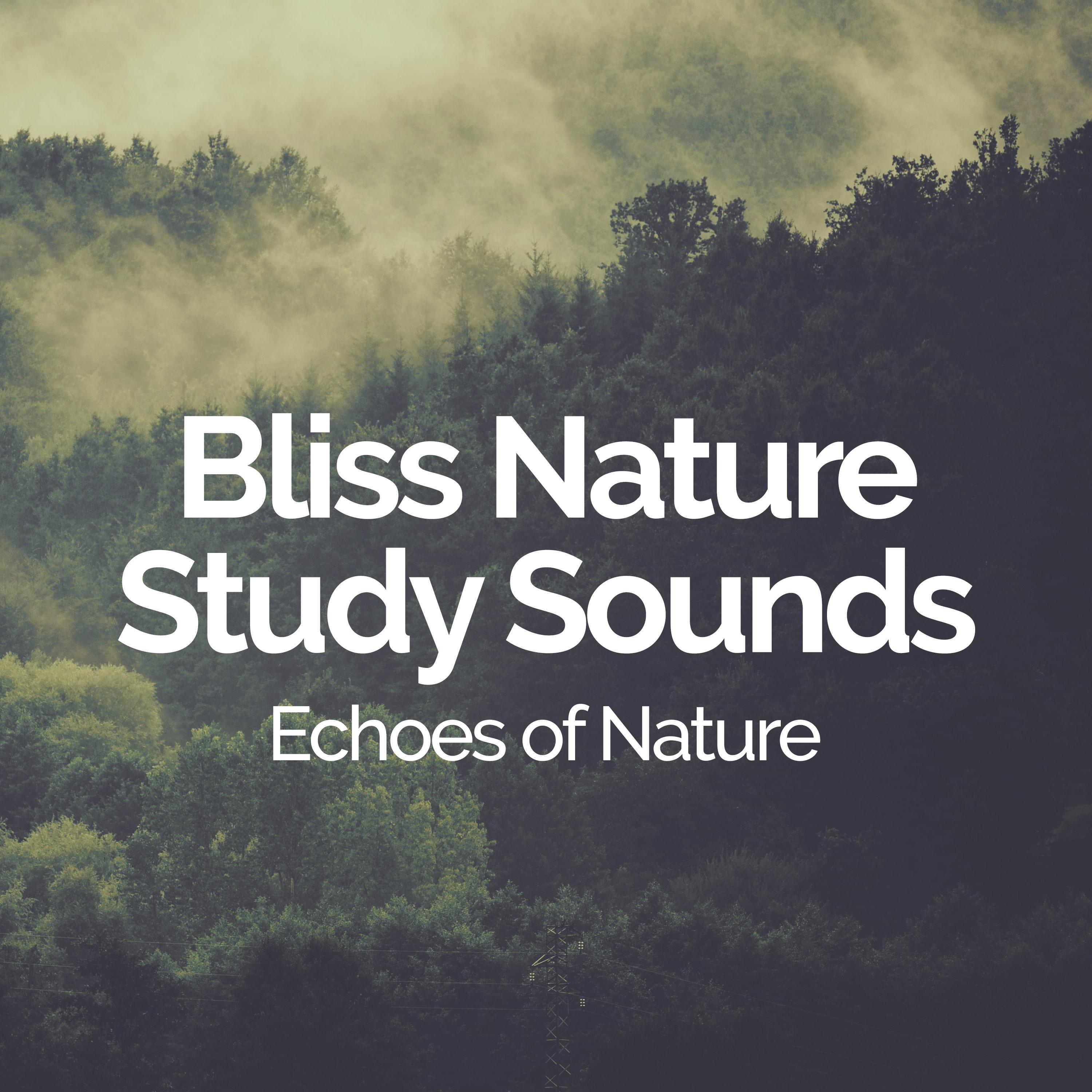 Bliss Nature Study Sounds