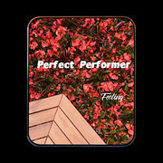 Perfect performer 完美表演者