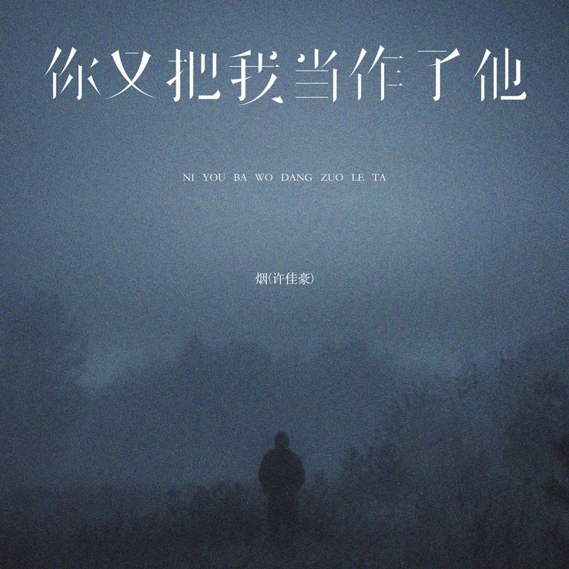 你又把我当作了他