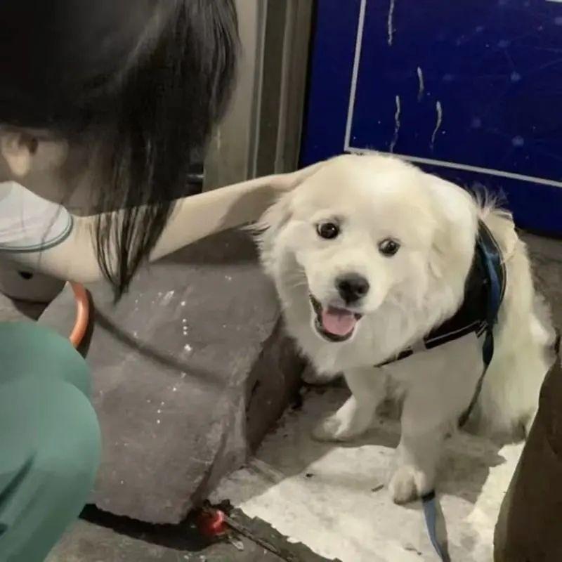 例外与期待