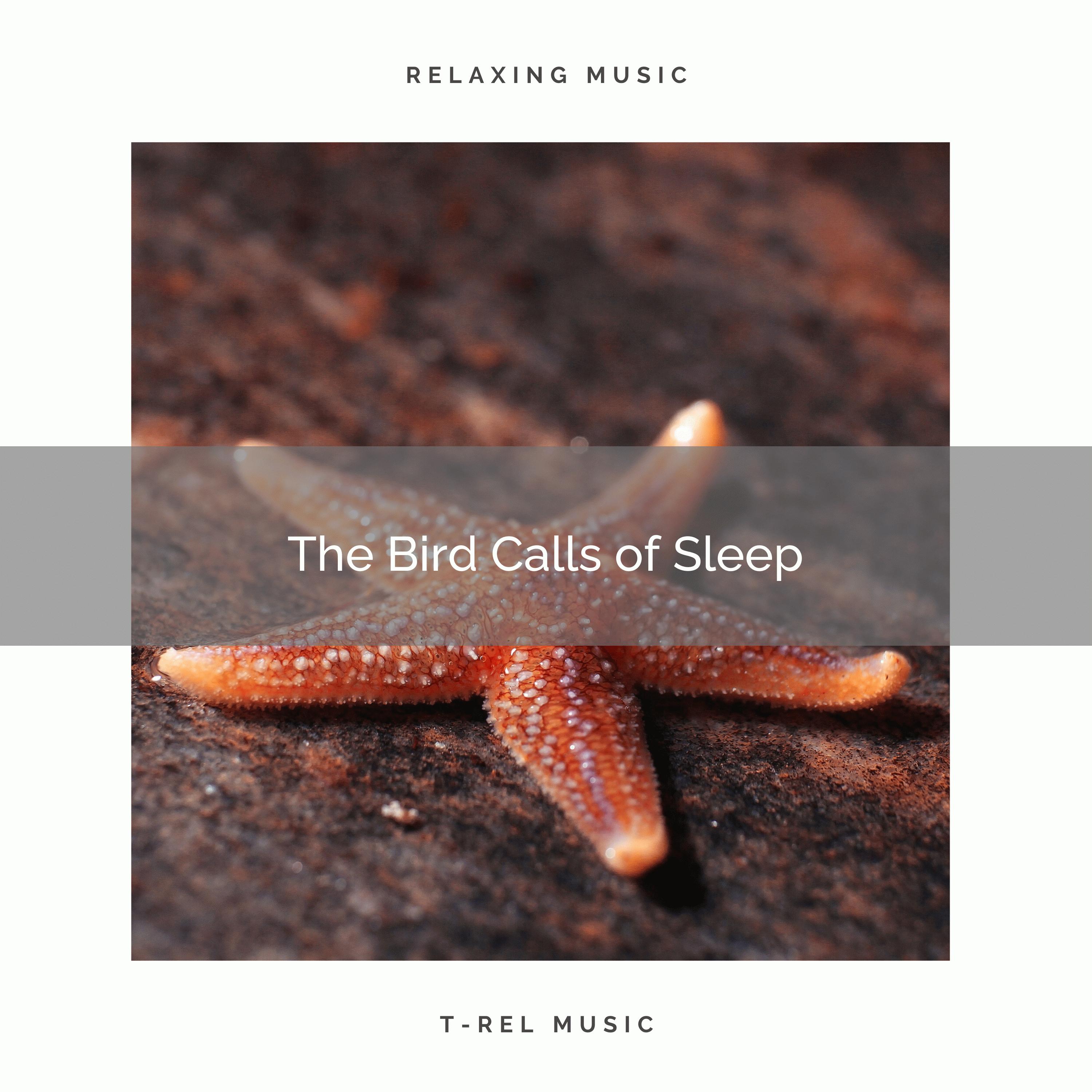 2021 The Bird Calls of Sleep