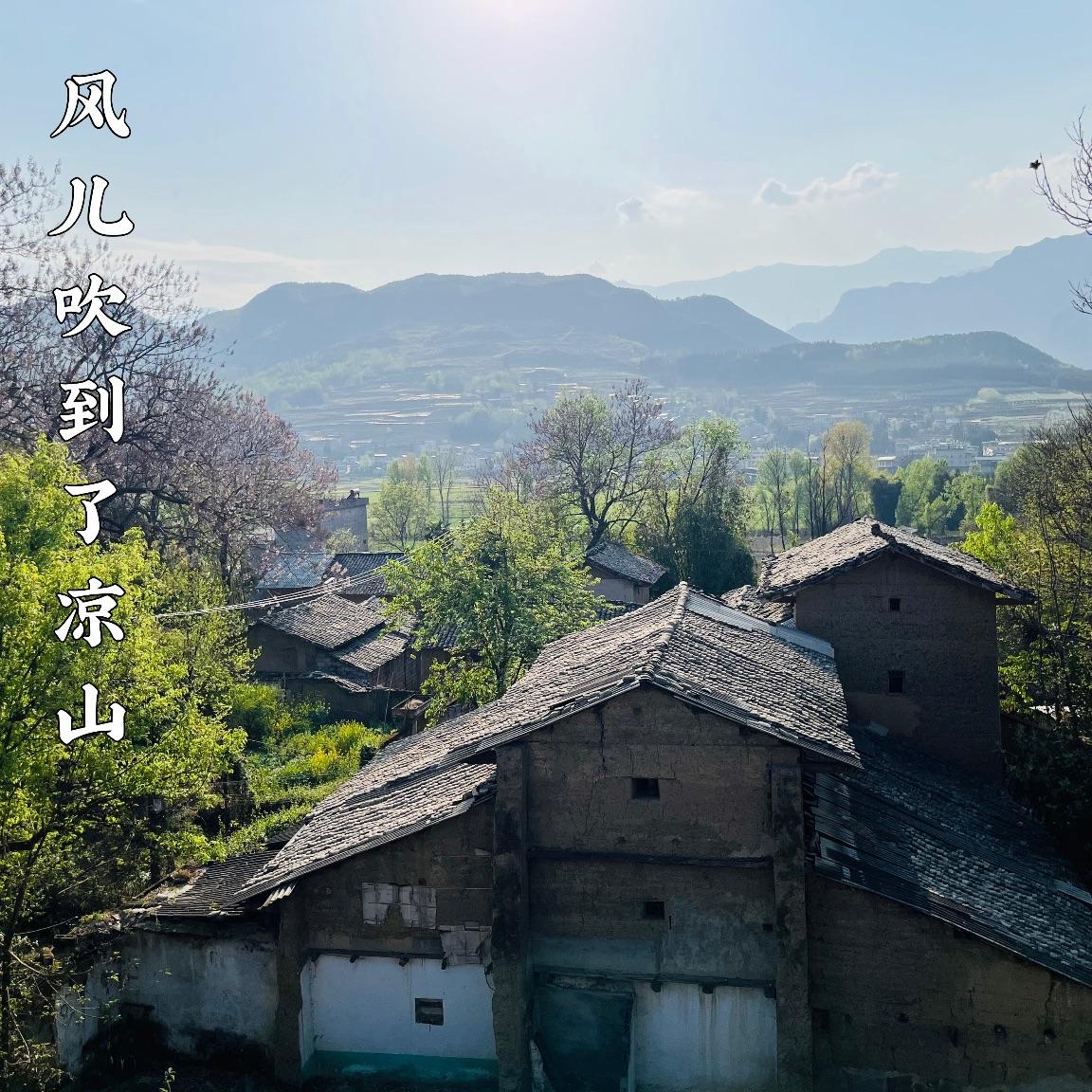 风儿吹到了凉山