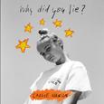 Why Did You Lie?