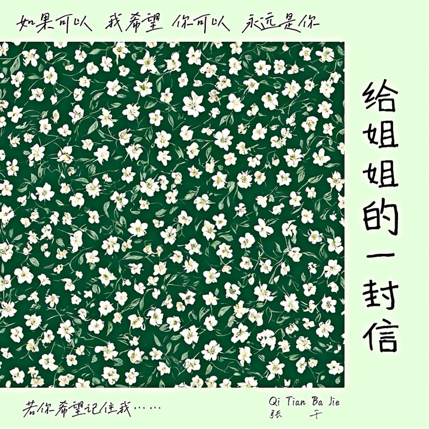 给姐姐的一封信