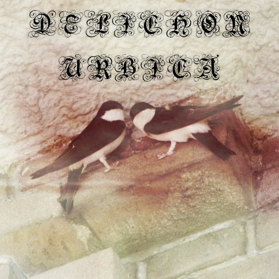 In This Room (Bonus Track)