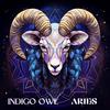 Indigo Owl - Aries