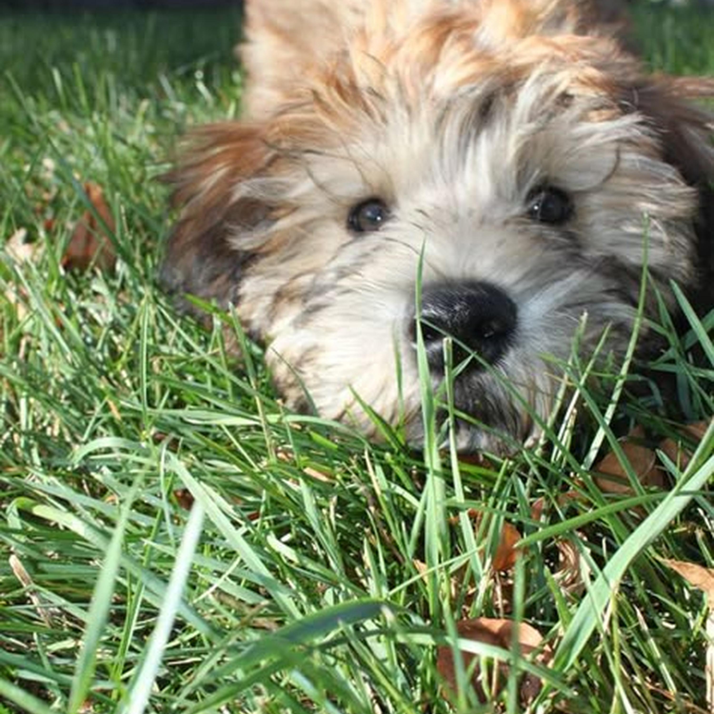 Touch Down 2 Cause Hell