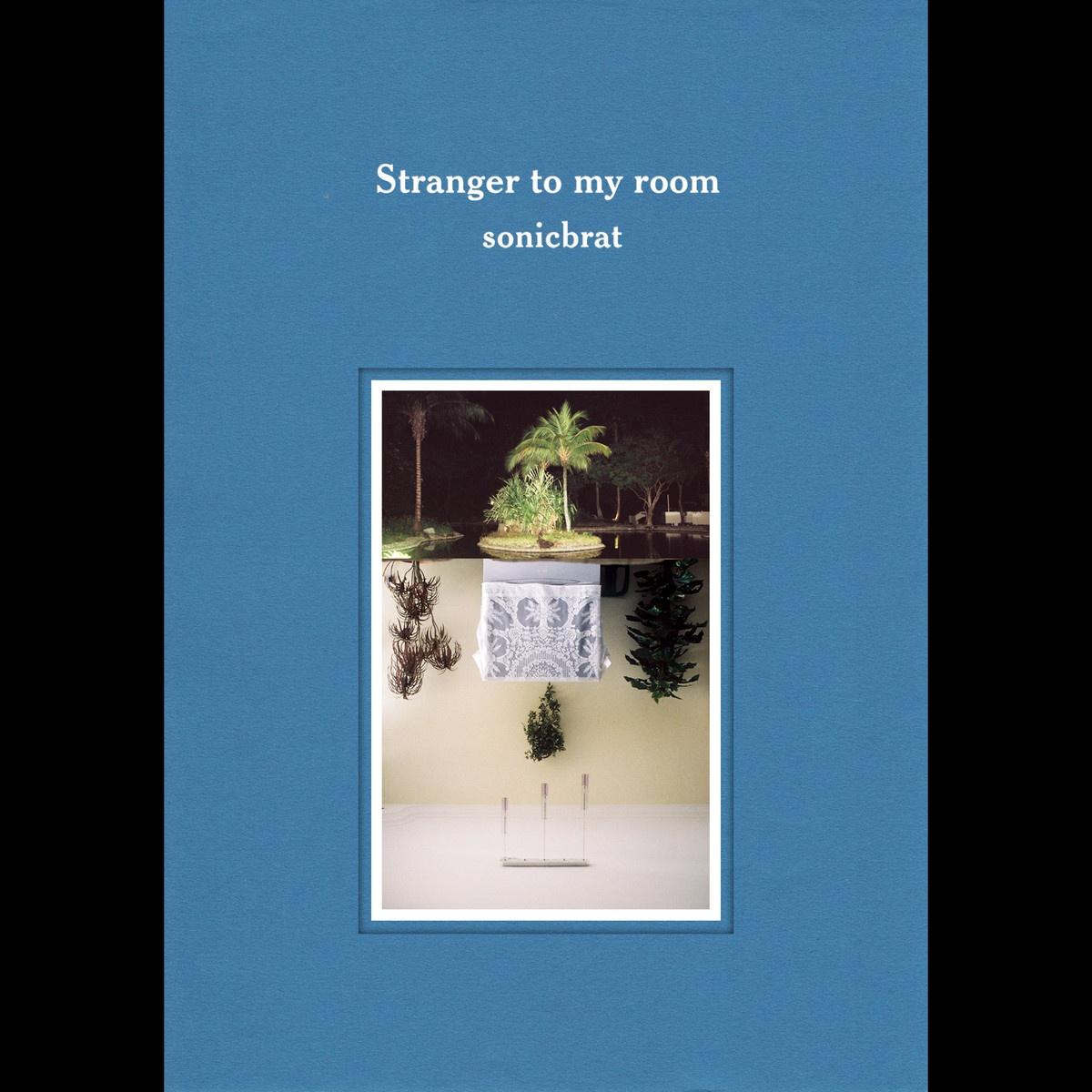 Stranger To My Room